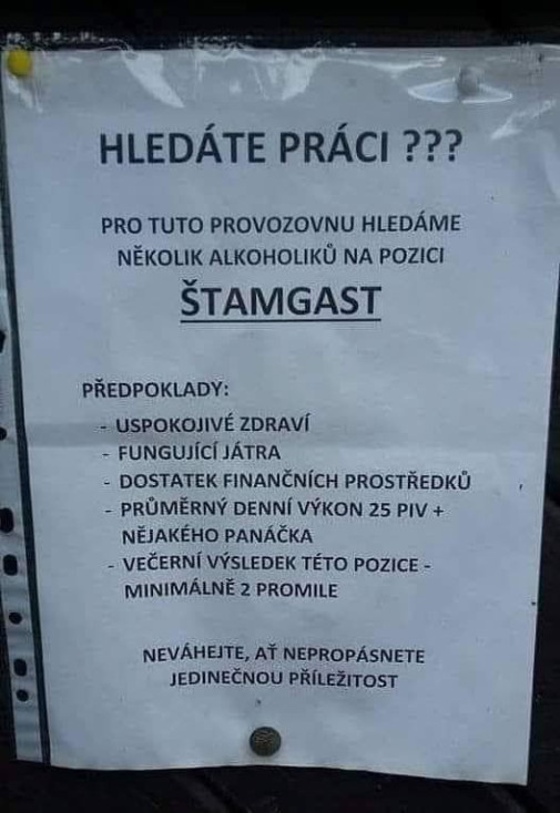 Pracovná pozícia