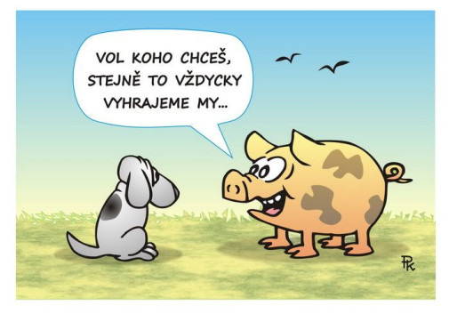 Voľby