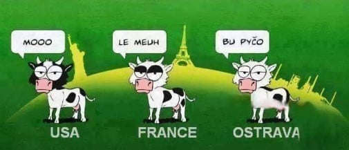 Kravička z Ostravy