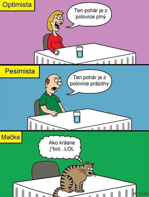 Mačací humor