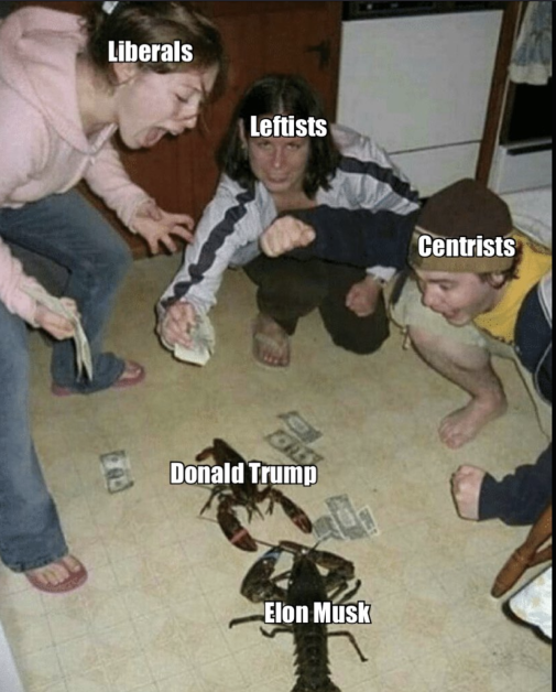 donald elon