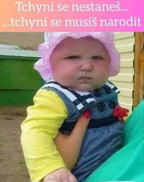 Svokra